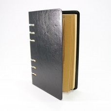 PV-NB10W Notebook Mini DVR Kamera